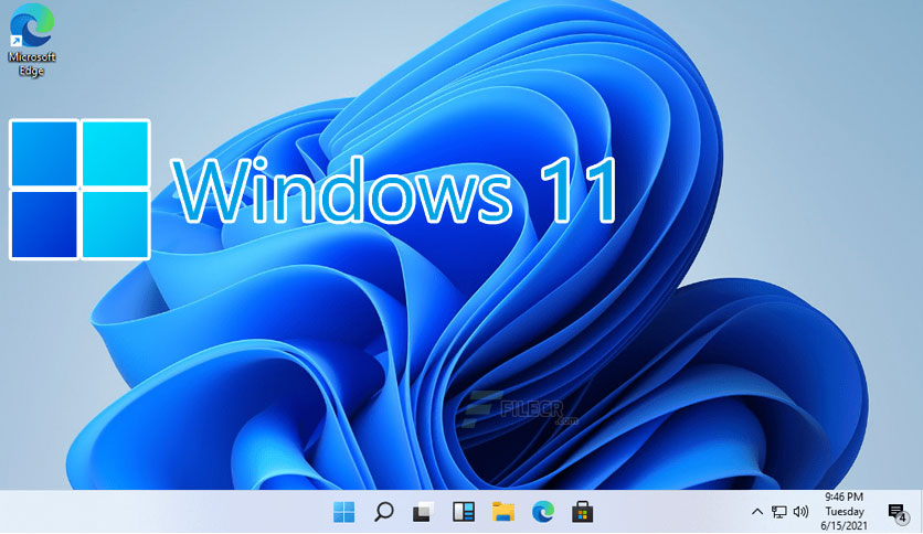 Windows 11 Header