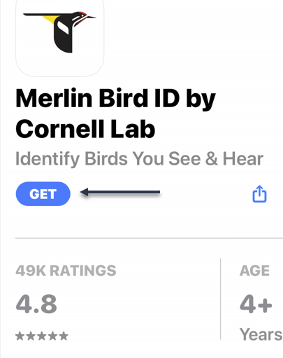 Merlin 1